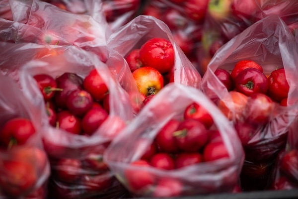 clear polythene bags red fruit